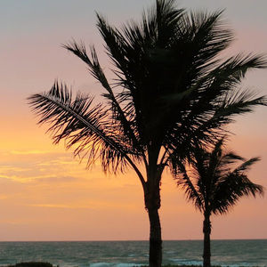 Meet your Posher, Kylie